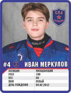 КАРТОЧКА ИГРОКА