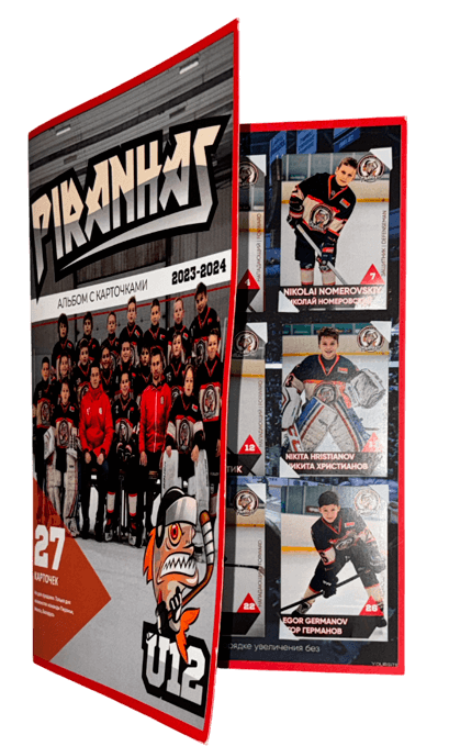 Hockey decoration